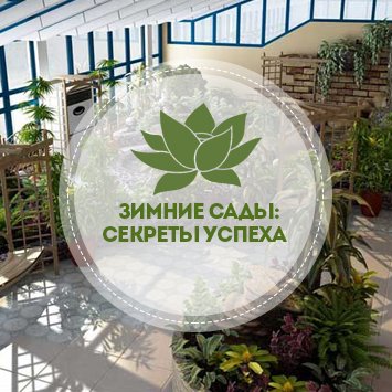 Зимние сады: секреты успеха