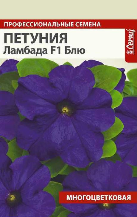 

петуния ламбада блю f1 семена, петуния ламбада блю f1 семена купить