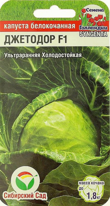 

капуста б/к джетодор f1 семена, капуста б/к джетодор f1 семена купить