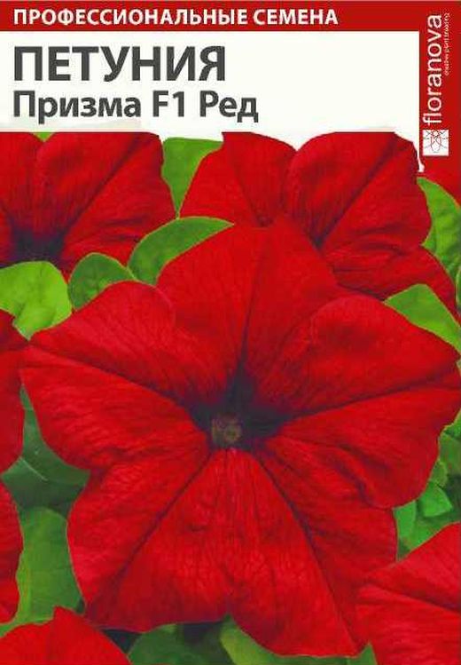 

петуния призма ред f1 семена, петуния призма ред f1 семена купить