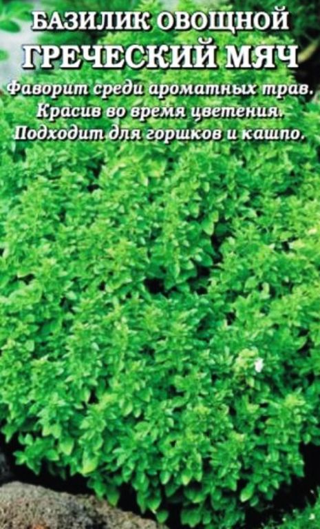 Семена пряных трав - купить семена от проверенного производителя