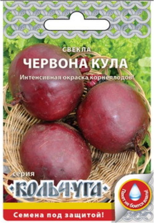 

свекла червона кула "кольчуга new" семена, свекла червона кула "кольчуга new" семена купить