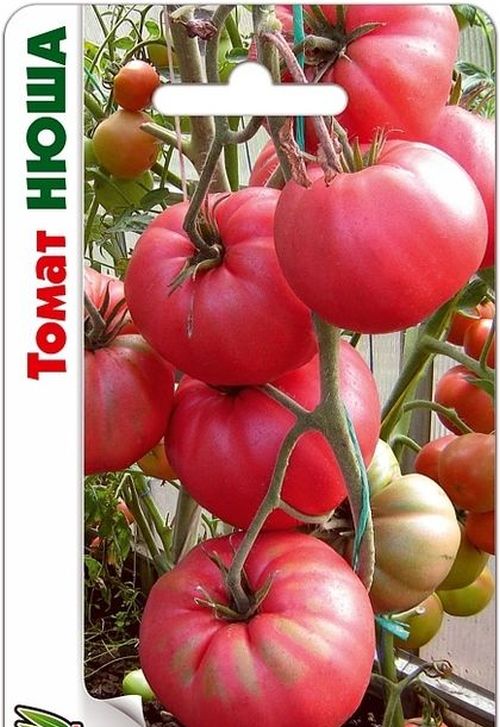Томат Нюша