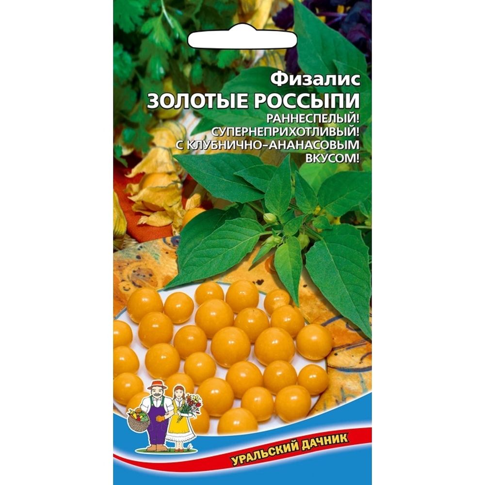 Физалис Золотая Россыпь Купить