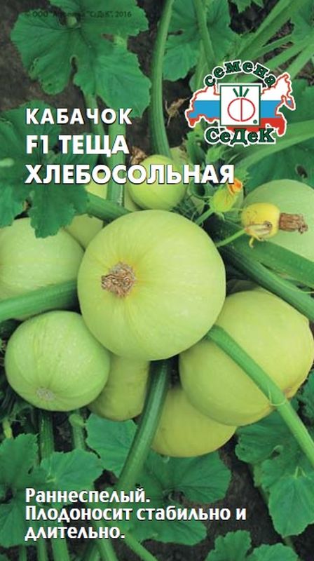 Семена Кабачок F1 Тёща хлебосольная: описание сорта, фото - купить сдоставкой или почтой России