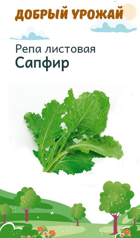 Репа листовая Сапфир