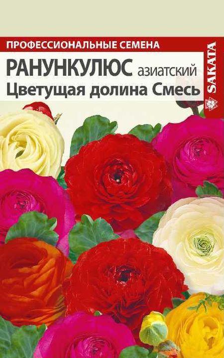 Ранункулюс цветущая долина смесь