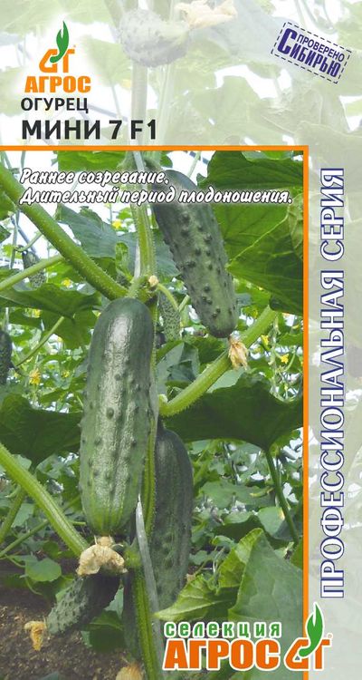 

огурец мини 7 f1 семена, огурец мини 7 f1 семена купить