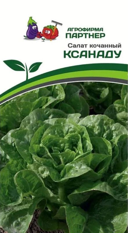 

салат кочанный ксанаду семена, салат кочанный ксанаду семена купить