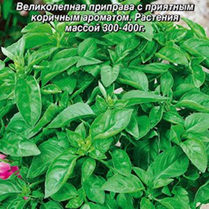 

базилик овощной аромат корицы® семена, базилик овощной аромат корицы® семена купить