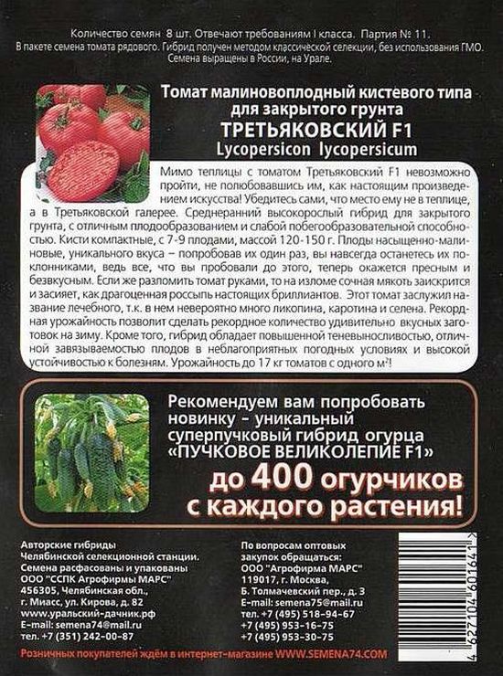 характеристика томата сорт третьяковский. томат третьяковский f1. розмарин фунтовый томат. томат третьяковский f1. томат третьяковский f1.