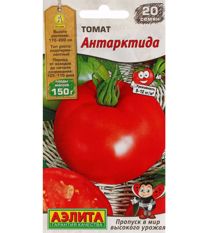

томат антарктида семена, томат антарктида семена купить