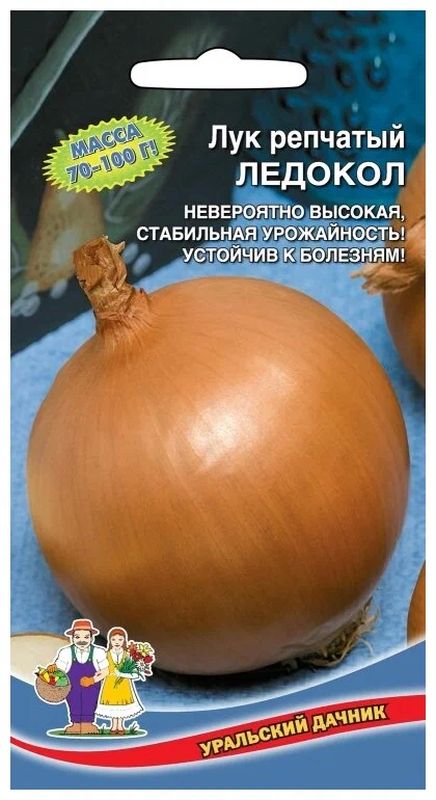 

лук репчатый ледокол семена, лук репчатый ледокол семена купить