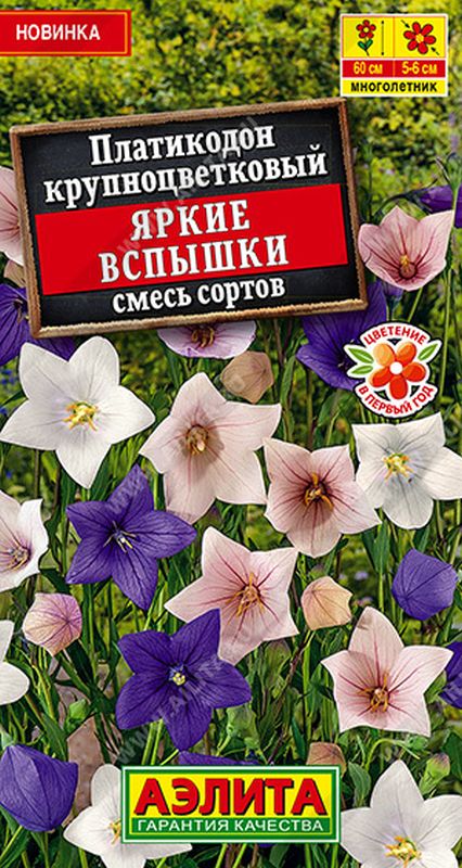 

платикодон яркие вспышки, смесь сортов семена, платикодон яркие вспышки, смесь сортов семена купить