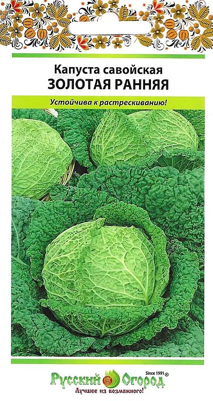 

капуста савойская золотая ранняя семена, капуста савойская золотая ранняя семена купить