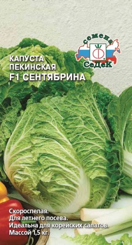 

капуста пекинская f1 сентябрина семена, капуста пекинская f1 сентябрина семена купить