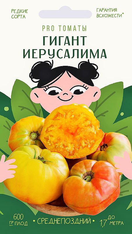 

томат гигант иерусалима семена, томат гигант иерусалима семена купить