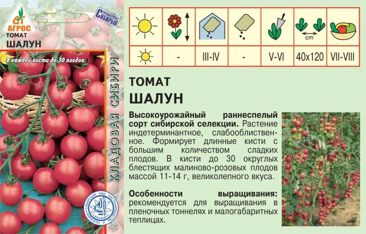 Сорта помидор сибирской селекции. Сорт нина томат. Сорта помидор сибирской селекции. Сибирский скороспелый томат семена сибири. Сорта помидор сибирской селекции.