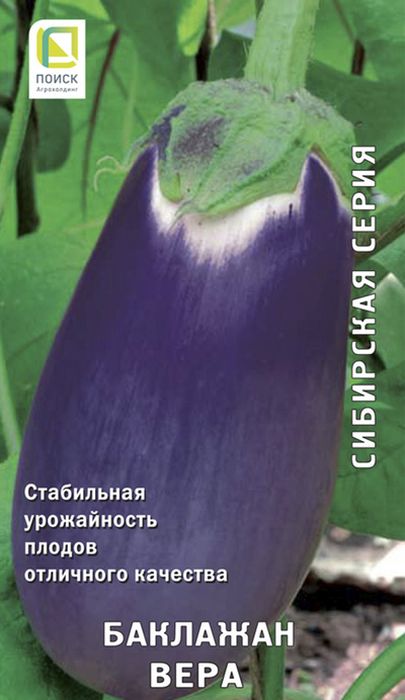 

баклажан вера семена, баклажан вера семена купить