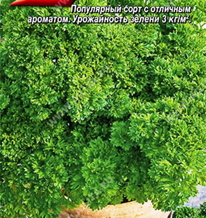 

петрушка кудрявая ворожея ® семена, петрушка кудрявая ворожея ® семена купить