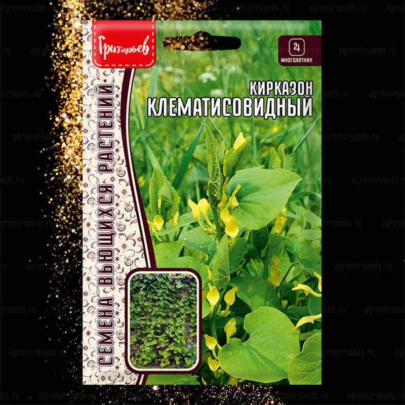 

кирказон клематисовидный семена, кирказон клематисовидный семена купить