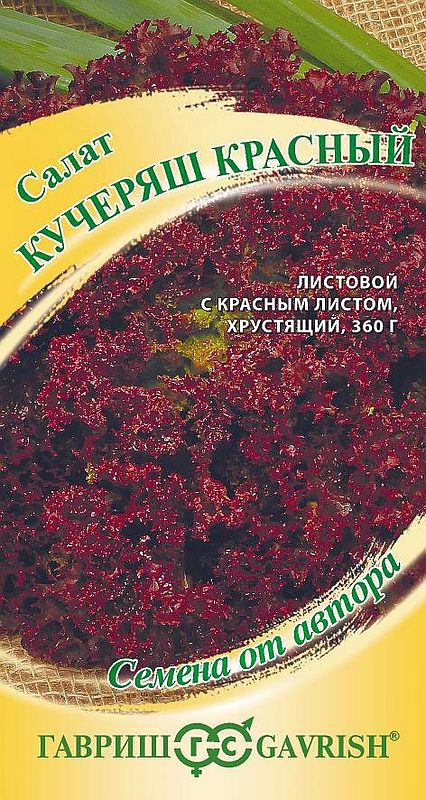 

салат листовой кучеряш красный семена, салат листовой кучеряш красный семена купить