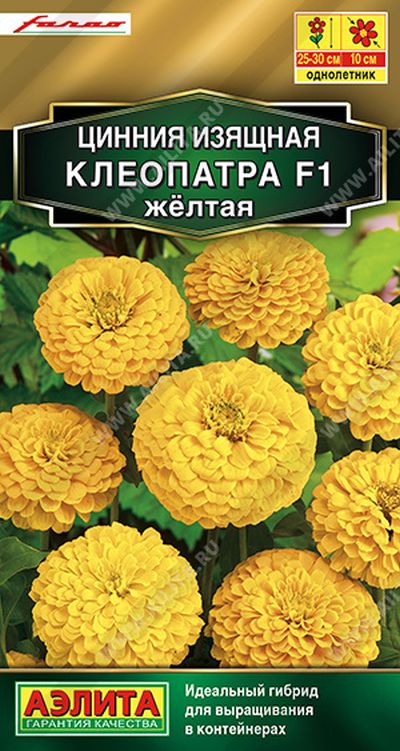 Цинния Клеопатра F1 желтая