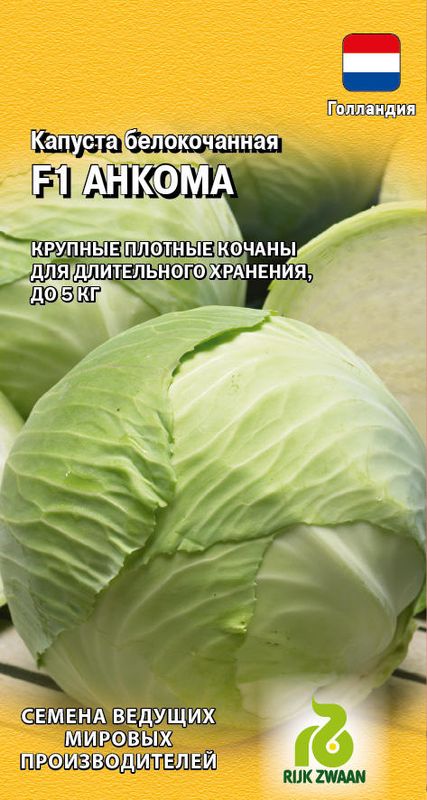 

капуста б/к f1 анкома рз семена, капуста б/к f1 анкома рз семена купить
