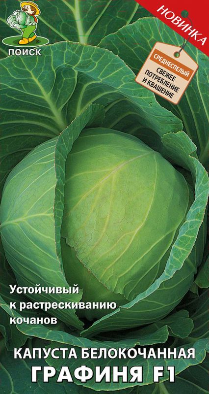 Семена Капуста б/к F1 Графиня: описание сорта, фото - купить с доставкойили почтой России