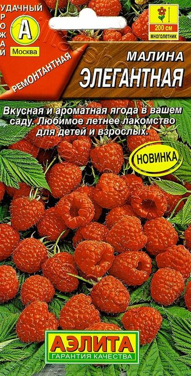 Малина Элегантная