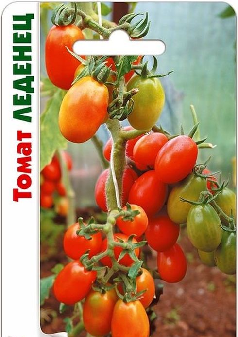 

томат леденец семена, томат леденец семена купить