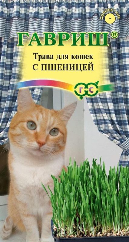 

трава для кошек с пшеницей, купить трава для кошек с пшеницей