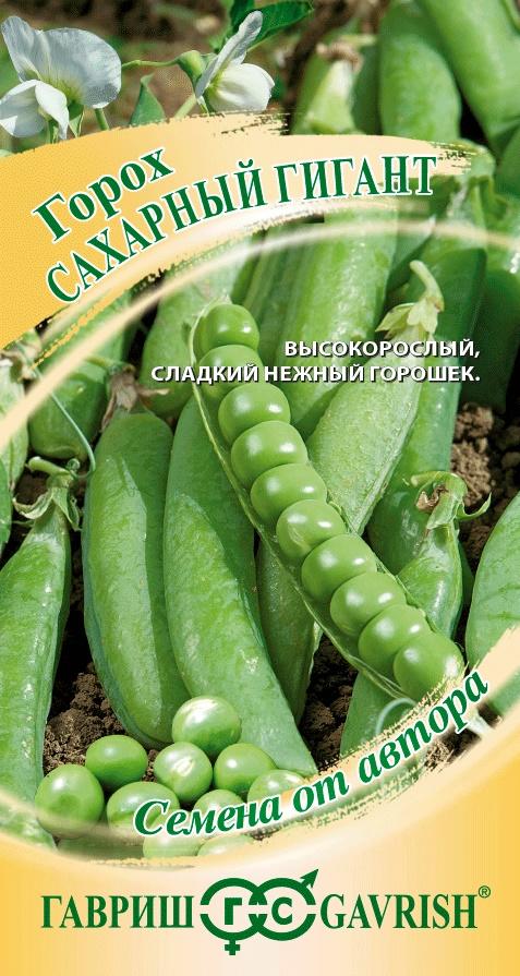 Горох Сахарный гигант