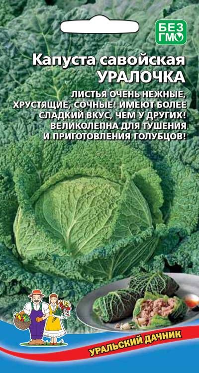 

капуста савойская уралочка семена, капуста савойская уралочка семена купить