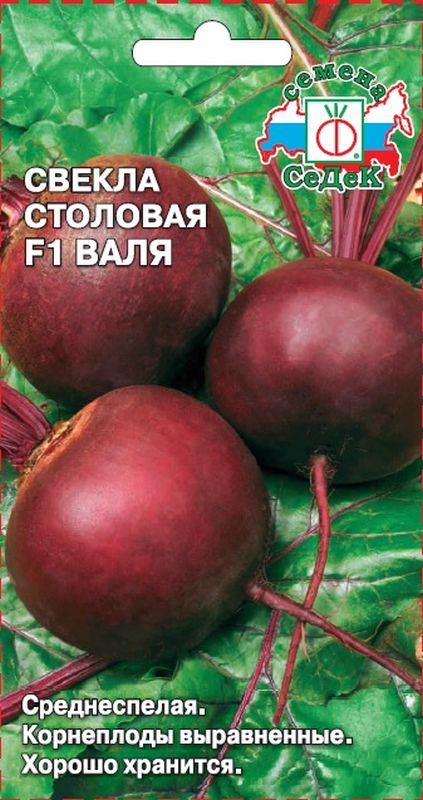 

свекла валя семена, свекла валя семена купить