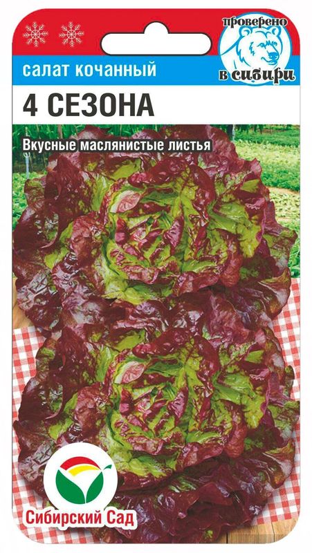 

салат кочанный 4 сезона семена, салат кочанный 4 сезона семена купить