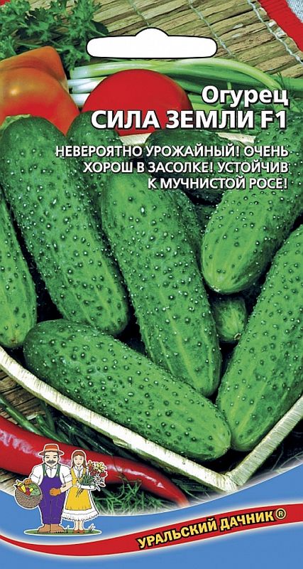 

огурец сила земли f1 семена, огурец сила земли f1 семена купить