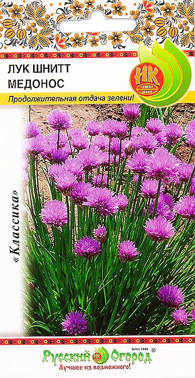 

лук шнитт медонос семена, лук шнитт медонос семена купить
