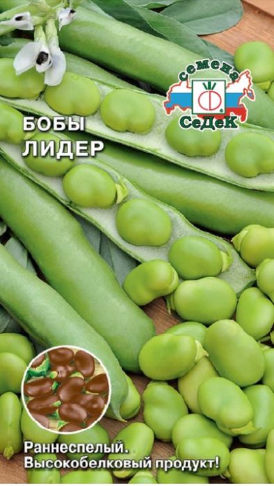 

бобы лидер семена, бобы лидер семена купить