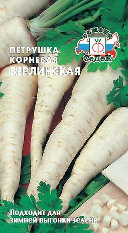 

петрушка корневая берлинская семена, петрушка корневая берлинская семена купить