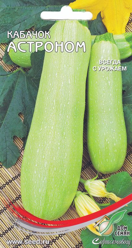 

кабачок астроном семена, кабачок астроном семена купить