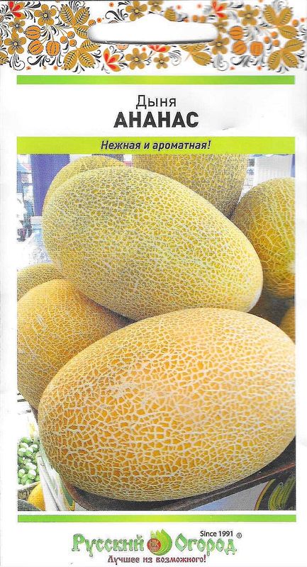 

дыня ананас семена, дыня ананас семена купить