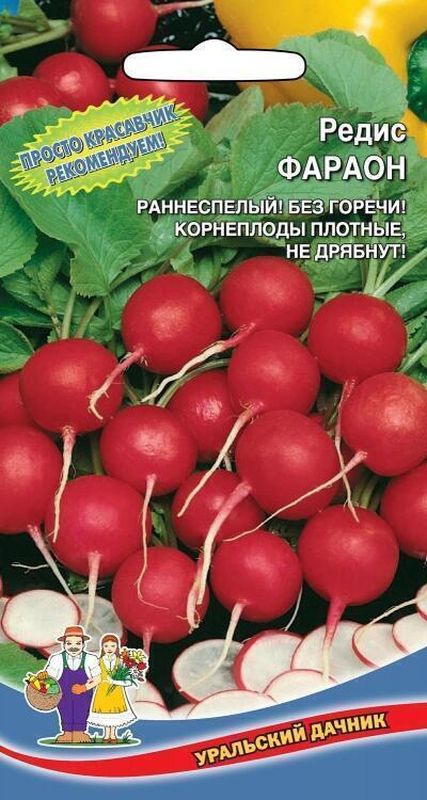 

редис фараон семена, редис фараон семена купить