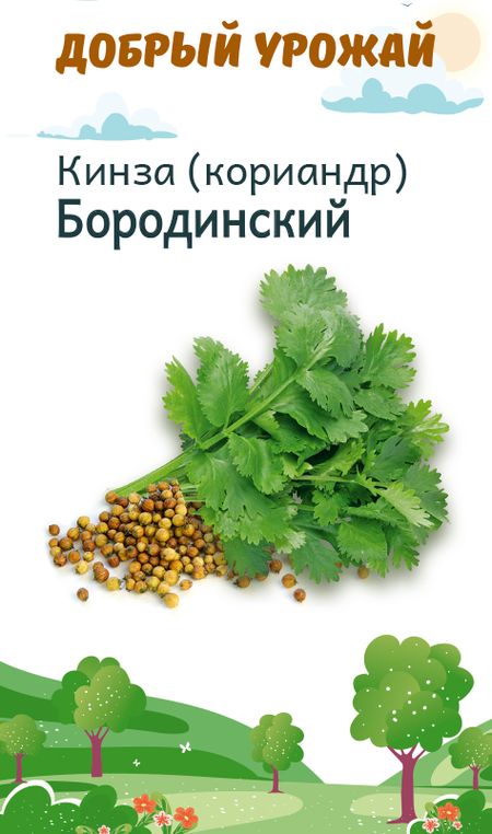 Кинза (кориандр) Бородинский