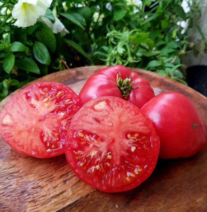 

томат мясной семена, томат мясной семена купить