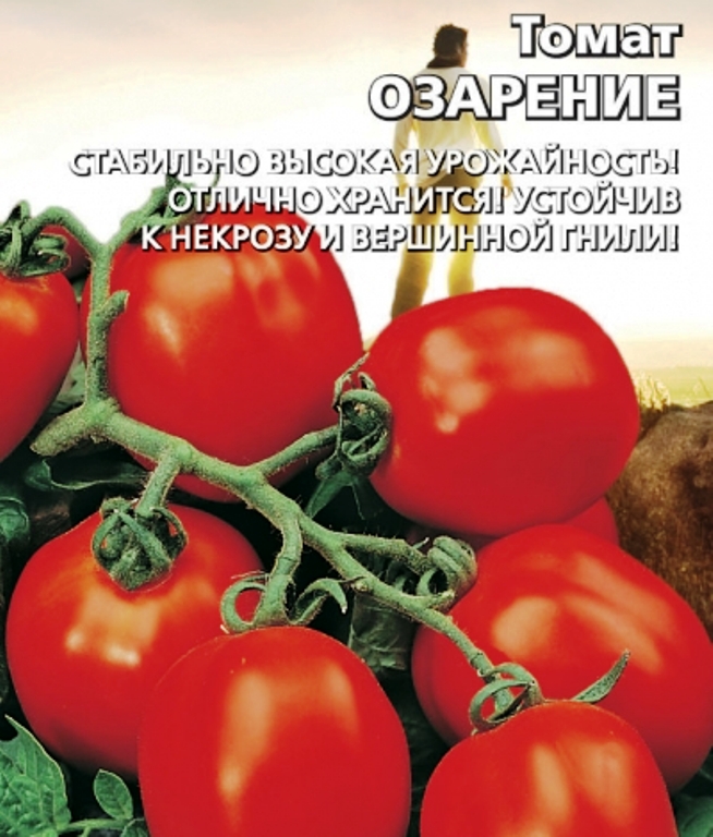 

томат озарение семена, томат озарение семена купить