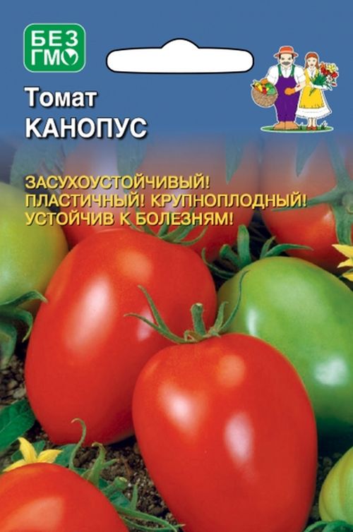 

томат канопус семена, томат канопус семена купить