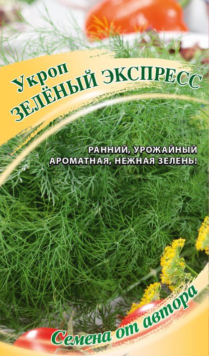 Укроп Зеленый экспресс