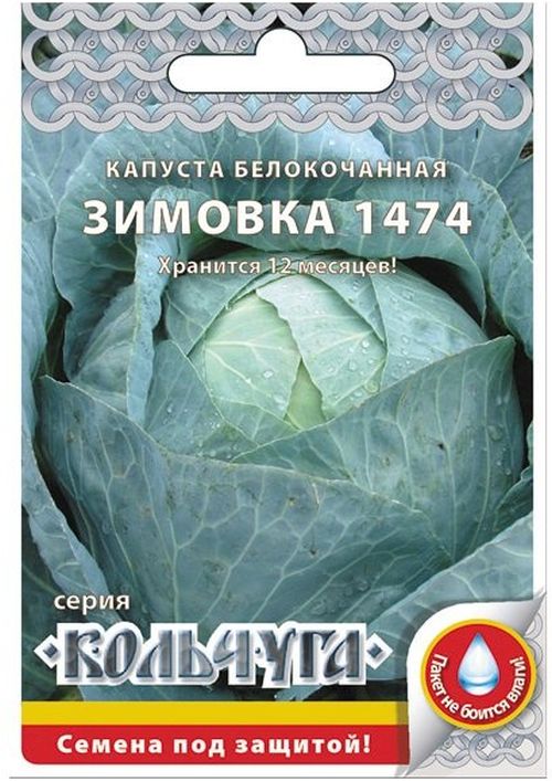 

капуста б/к зимовка 1474 "кольчуга new" семена, капуста б/к зимовка 1474 "кольчуга new" семена купить