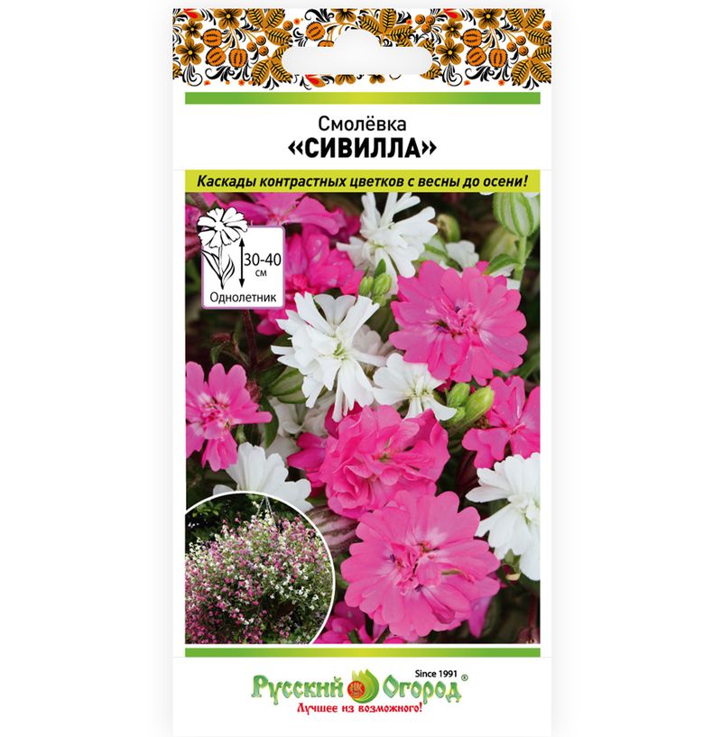 

смолевка сивилла, смесь семена, смолевка сивилла, смесь семена купить